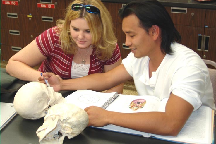 Two students examining a skull